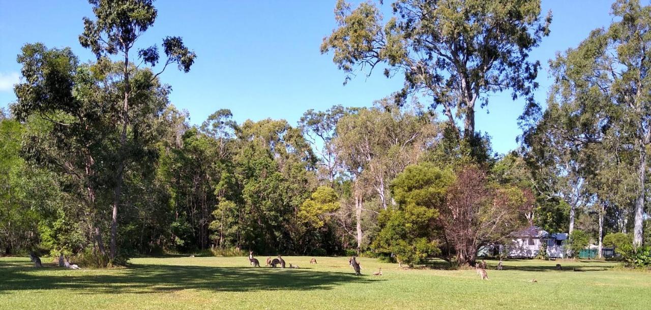 Weyba Noosa & Kangaroos Lodge