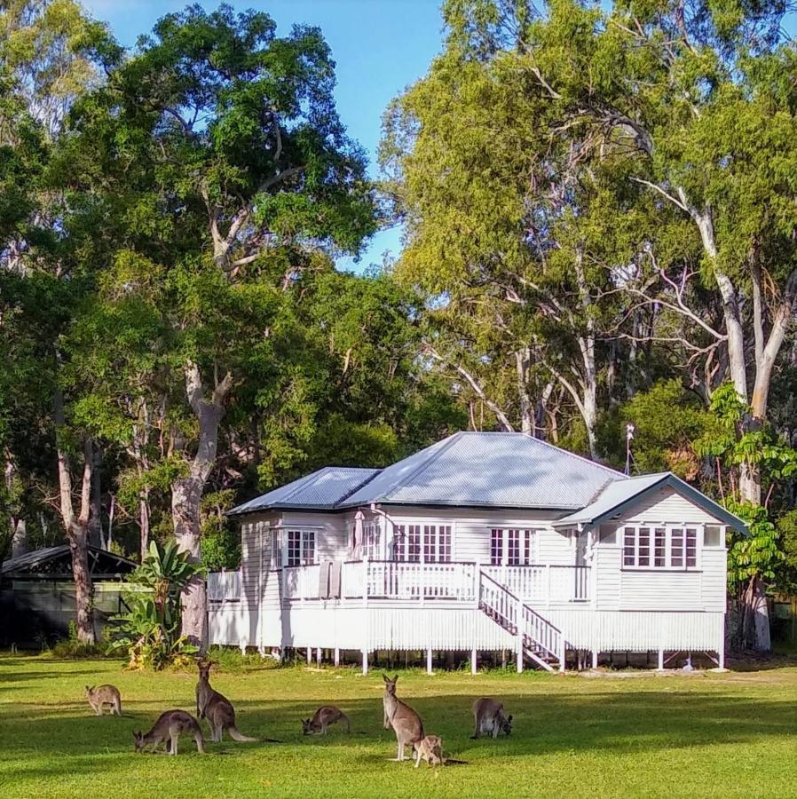 Lodge Weyba Noosa & Kangaroos