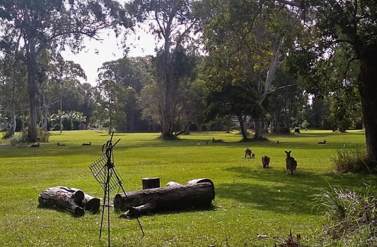 Weyba Noosa & Kangaroos Lodge Peregian Beach