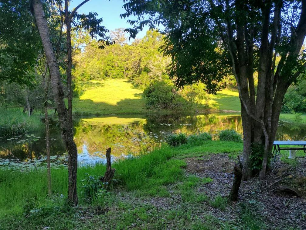 The Wake-up Call & Retreats - Noosa Hinterland