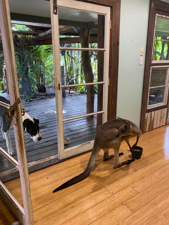 Guest house The Wake-up Call & Retreats - Noosa Hinterland