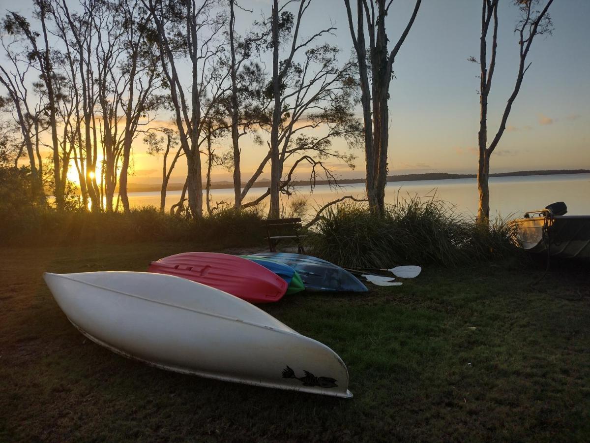 Lodge Weyba Noosa & Kangaroos Peregian Beach