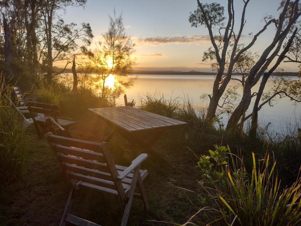 Lodge Weyba Noosa & Kangaroos