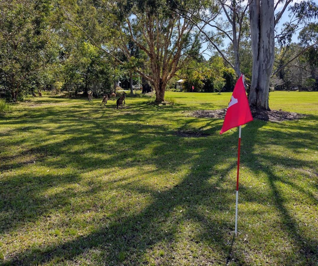 Weyba Noosa & Kangaroos Lodge Peregian Beach