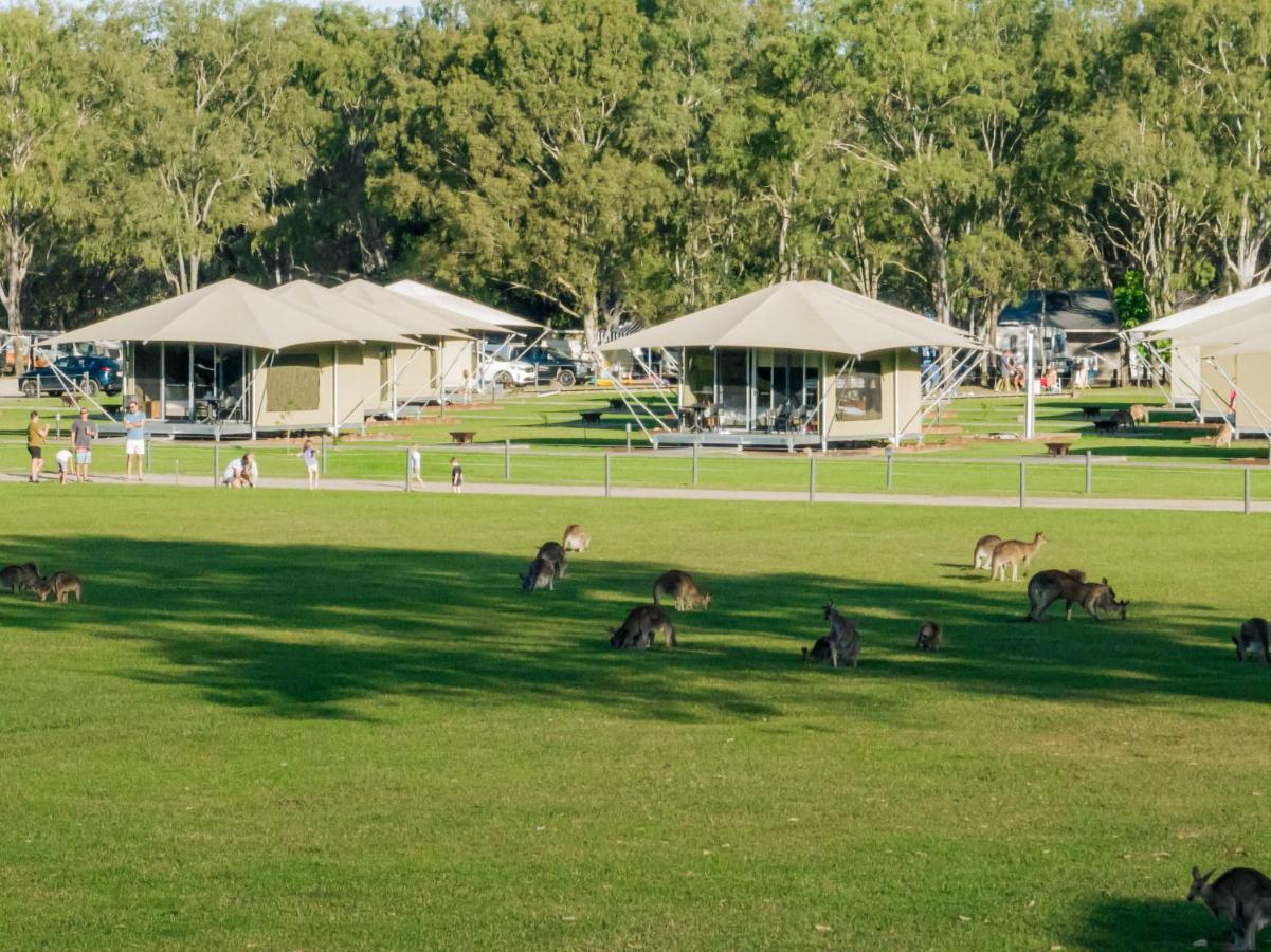 Habitat Noosa