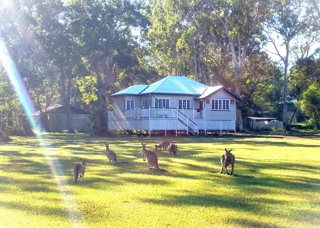 Weyba Noosa & Kangaroos *