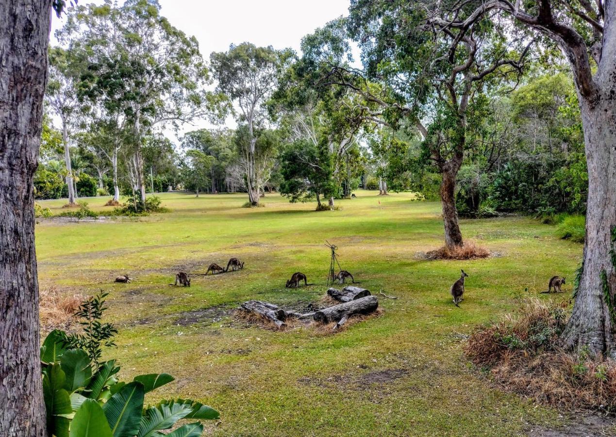 Weyba Noosa & Kangaroos Lodge