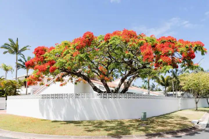 Poinciana House—luxury Retreat Close To Noosa Heads