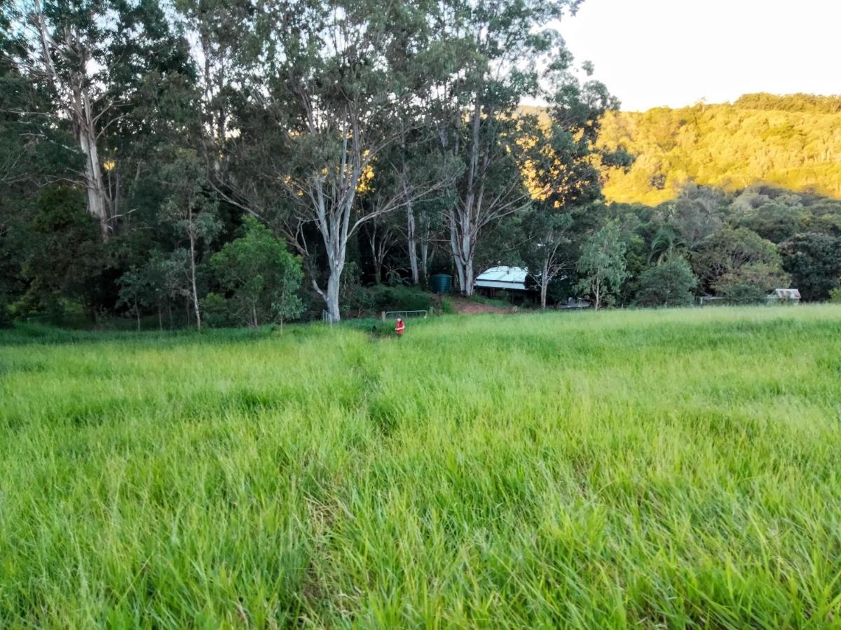 Casa de férias Green Hill Cottage, Heart Of Noosa Hinterland Kin Kin