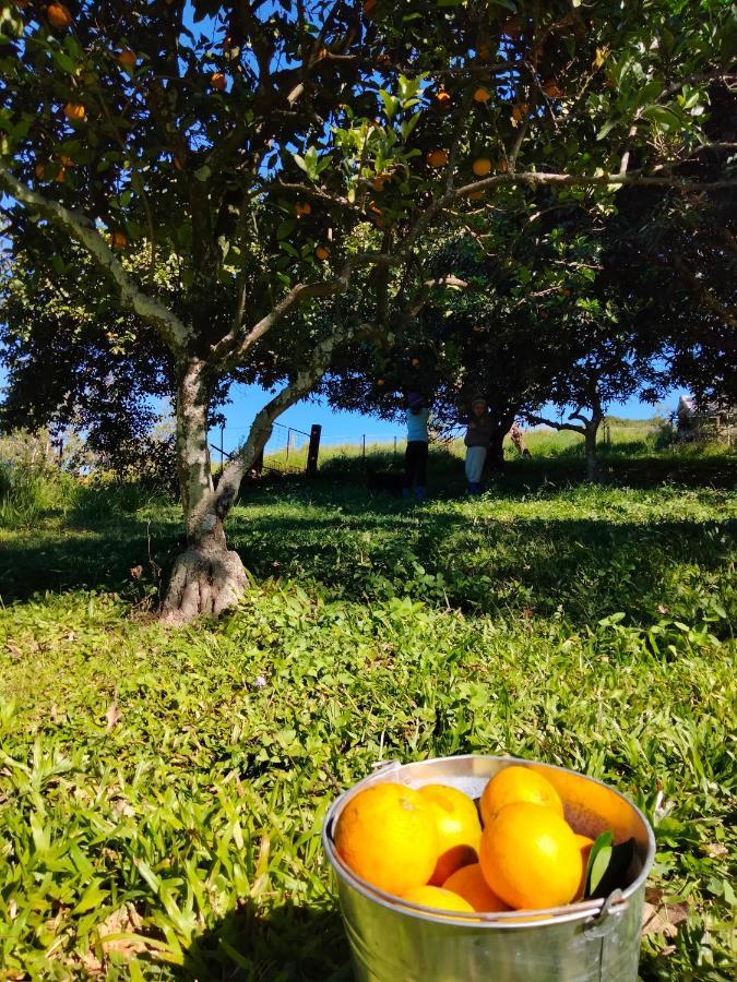 Green Hill Cottage, Heart Of Noosa Hinterland Kin Kin