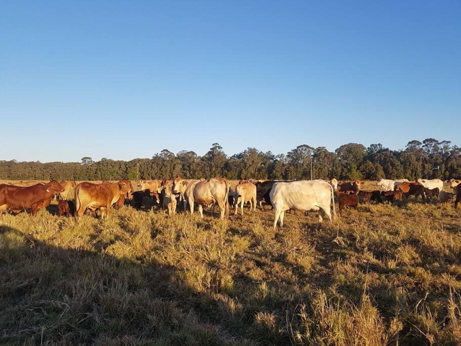 Blair Downs Farm Country Retreat Holiday home *