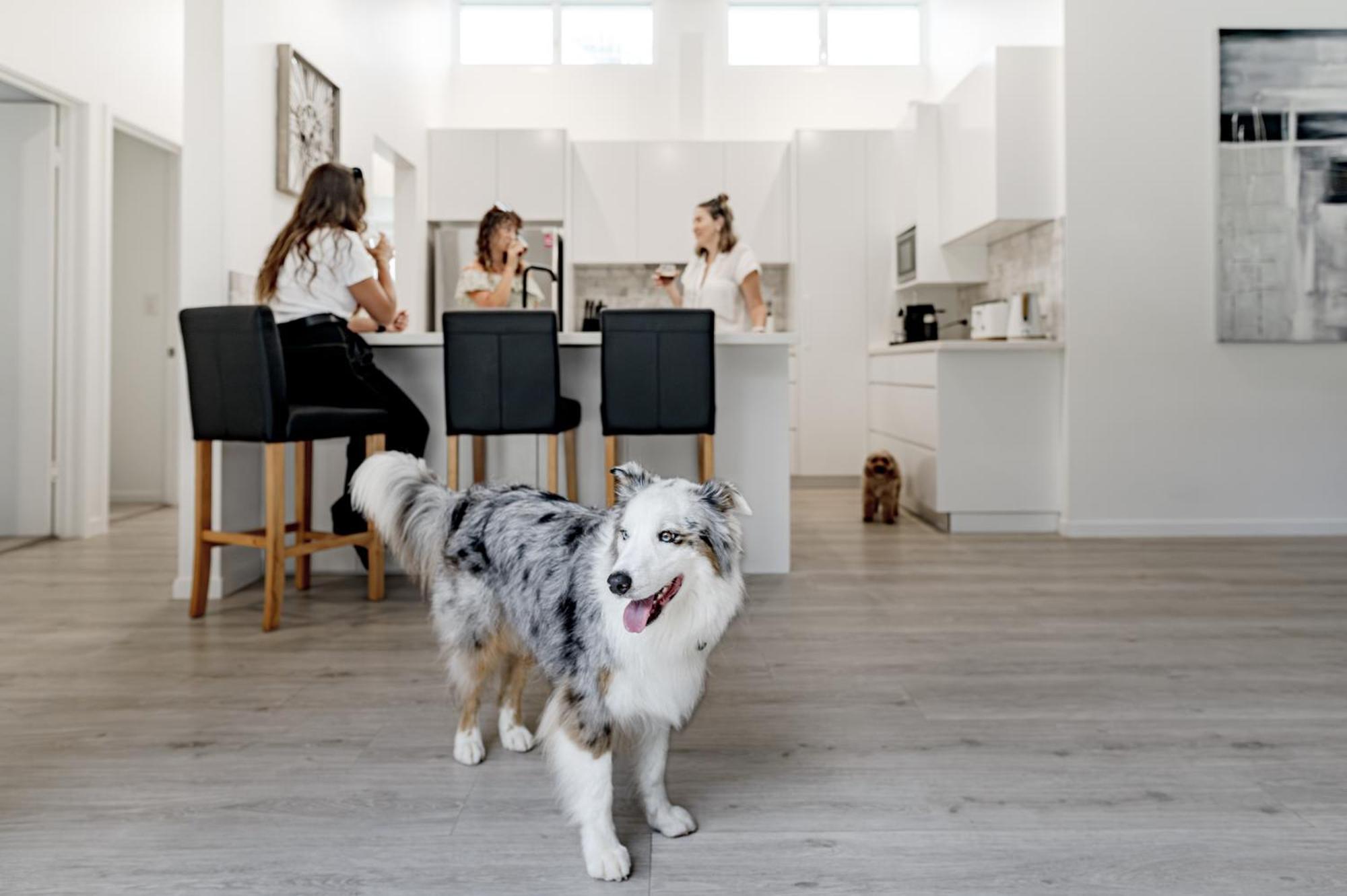 Holiday home Family & Pet-friendly Luxury Near Hastings St