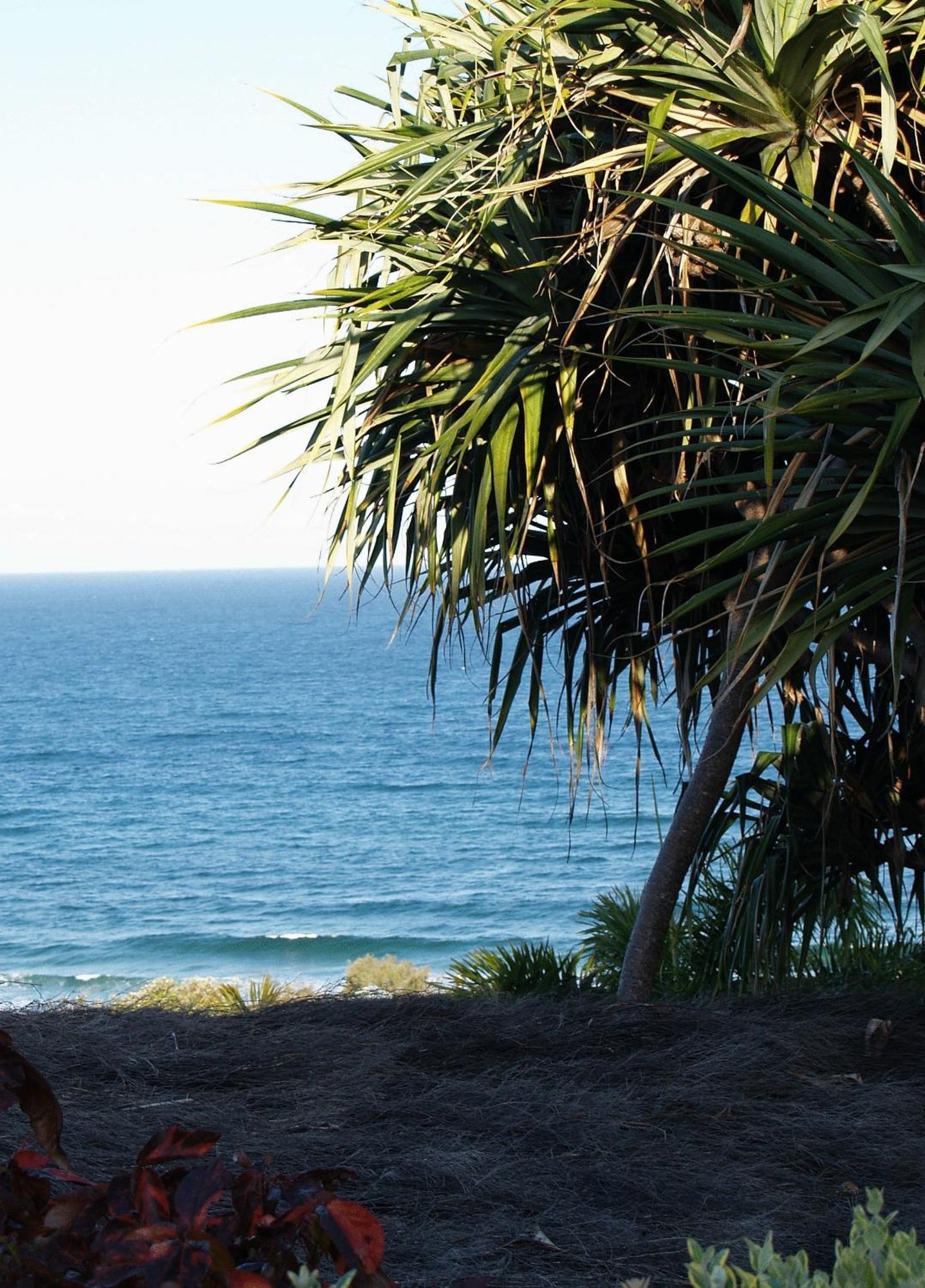 Sunseeker Sunshine Beach
