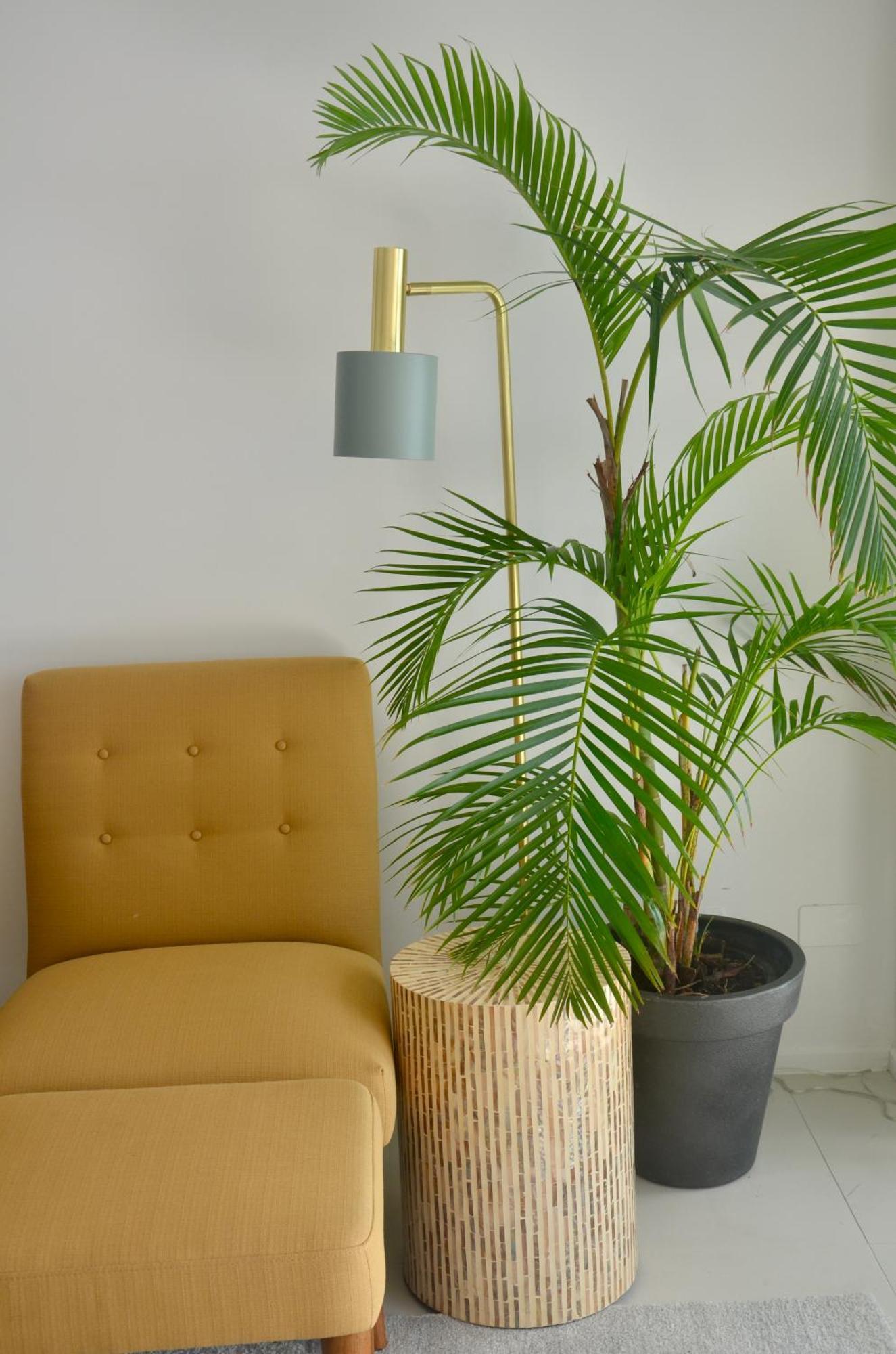 Shores 29-noosa Heads-near Hastings St *