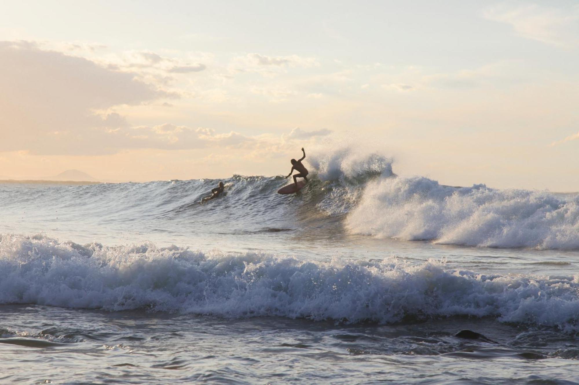 Albergue Halse Noosa Heads