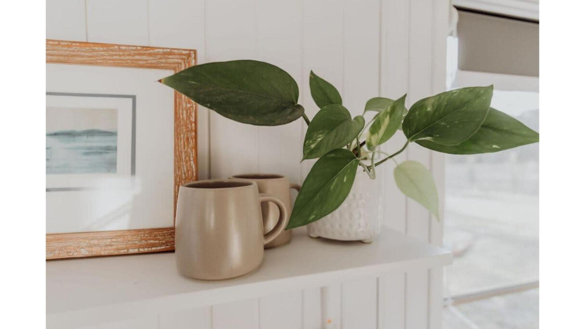 Noosa Tiny Holiday home *