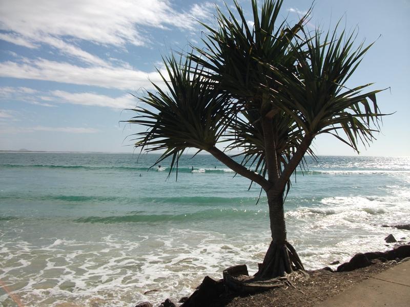 Noosa Gardens Riverside 3* Noosaville