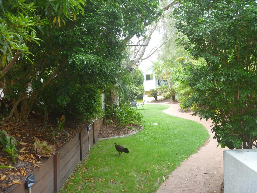 Chez Noosa