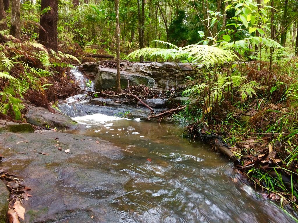 Apartment Noosa Hinterland Retreat Tinbeerwah