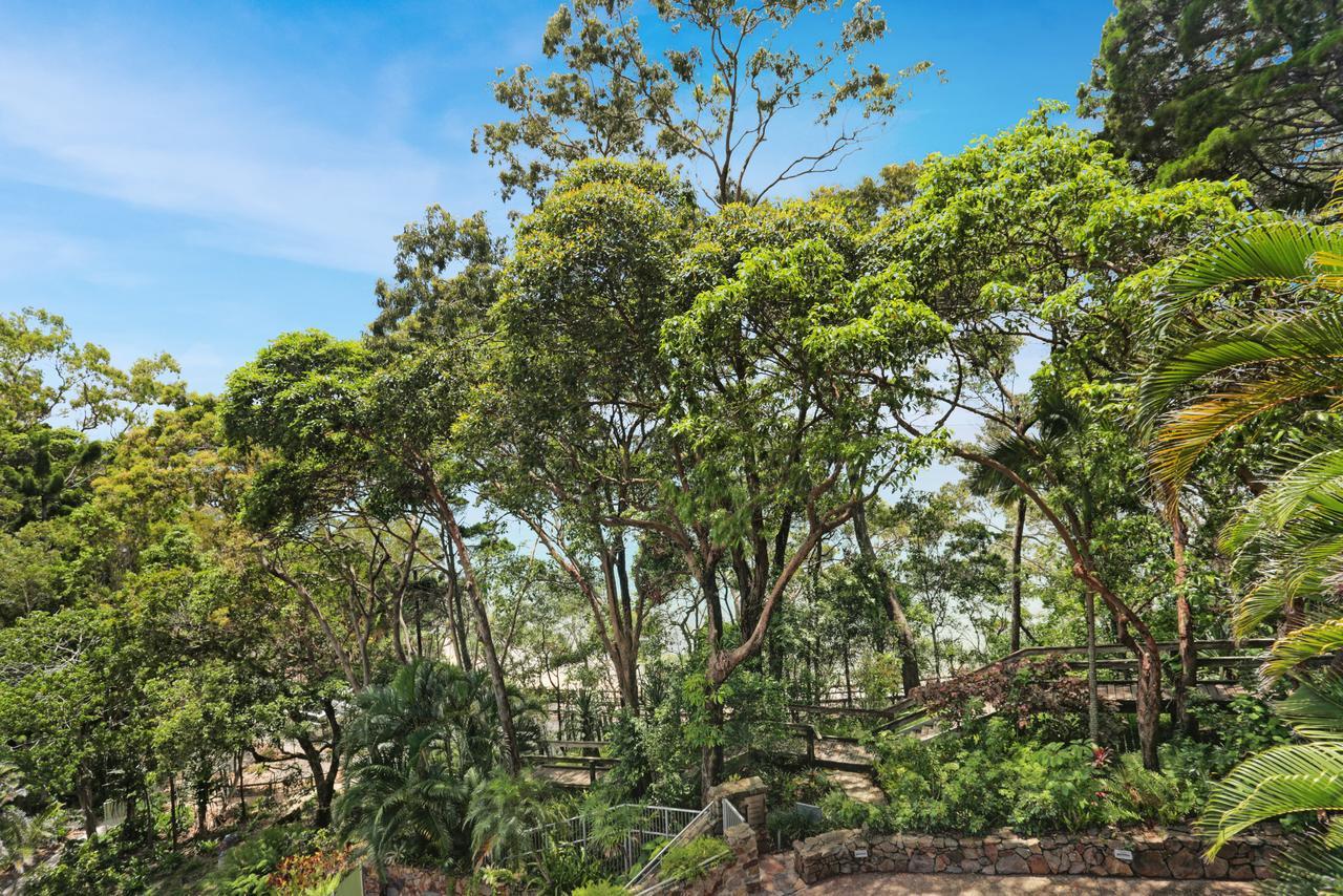 Little Cove Court Aparthotel Noosa Heads