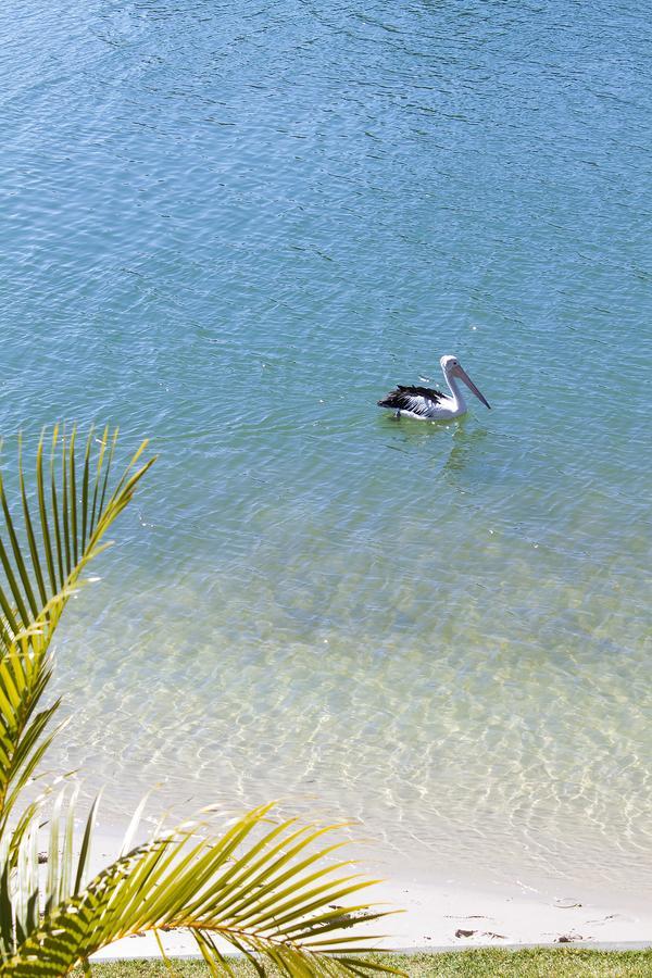 Noosa Haven 12 Riverfront Elegance Holiday home *