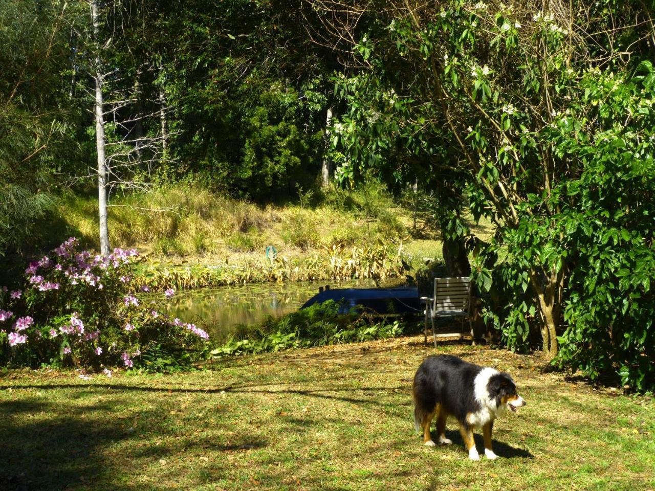 Magnolia Cooroy