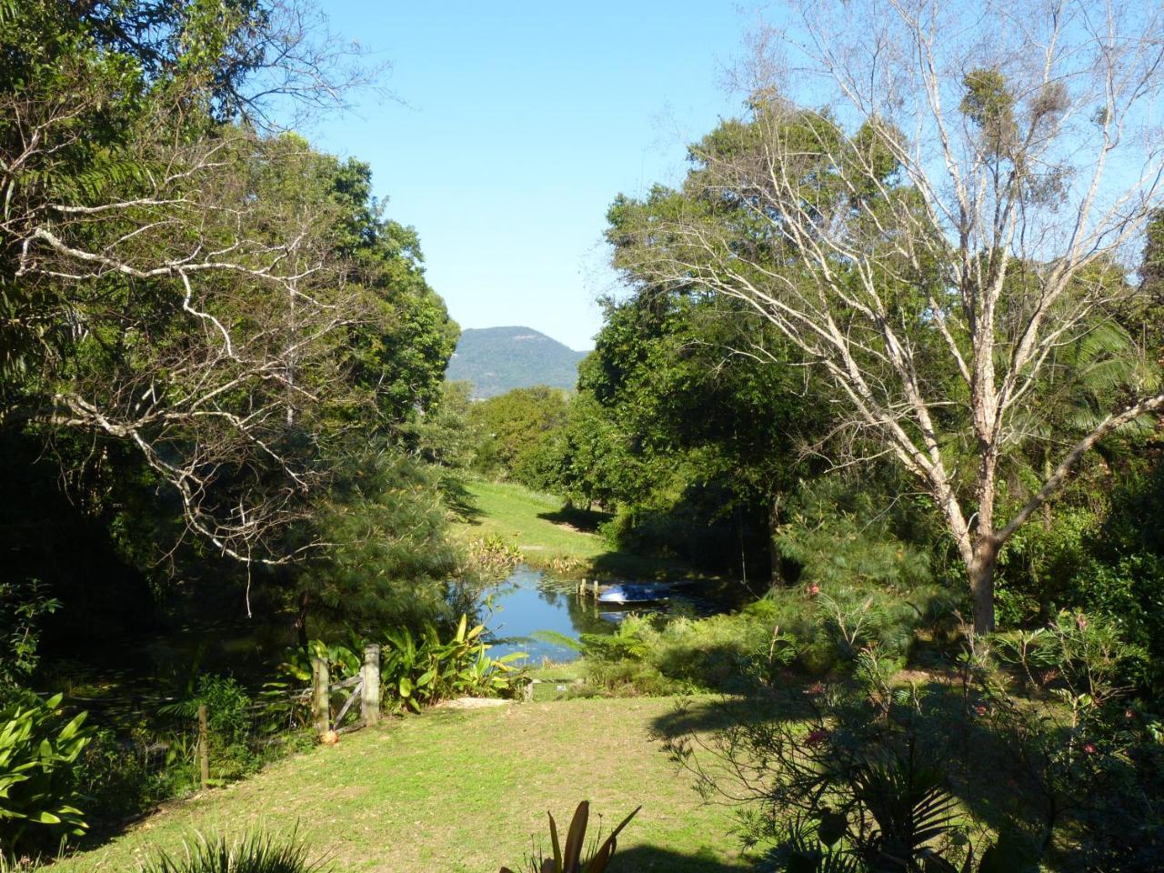 Magnolia Cooroy