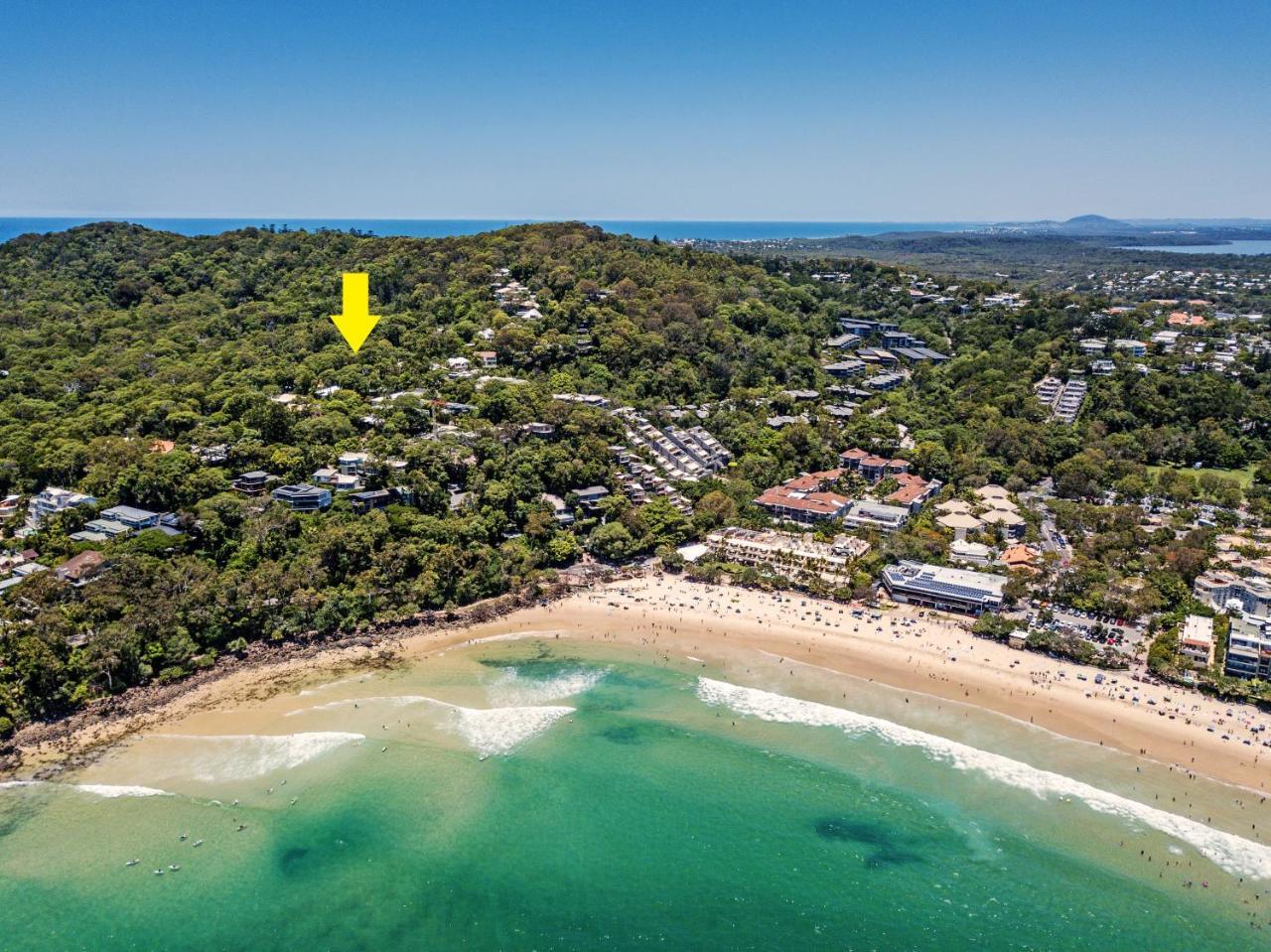 Dual-living Amongst The Rainforest, Little Cove Holiday home *