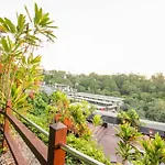 7407 Gorgeous Rainforest Outlook