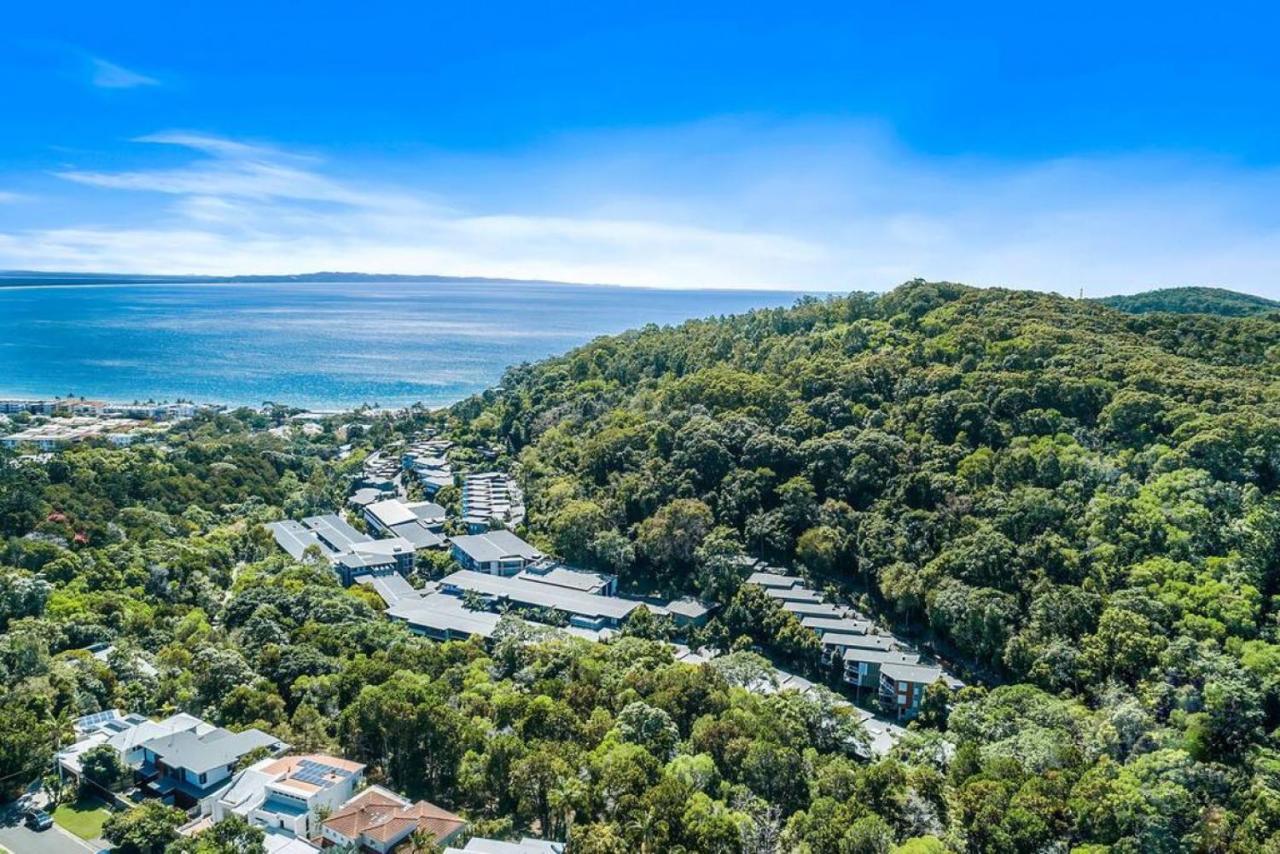 7407 Gorgeous Rainforest Outlook Apartment