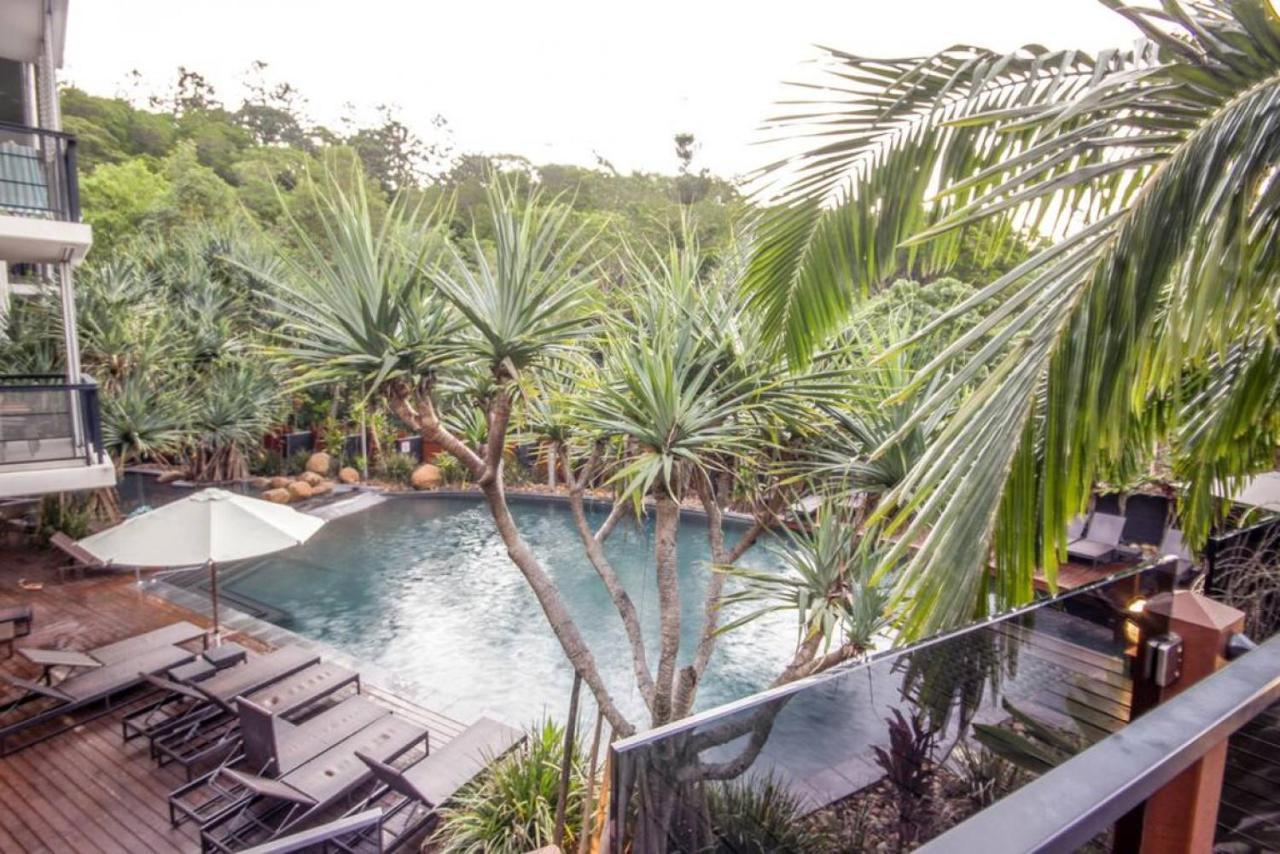 7407 Gorgeous Rainforest Outlook