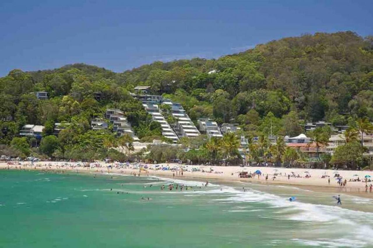 Apartment 7407 Gorgeous Rainforest Outlook Noosa Heads