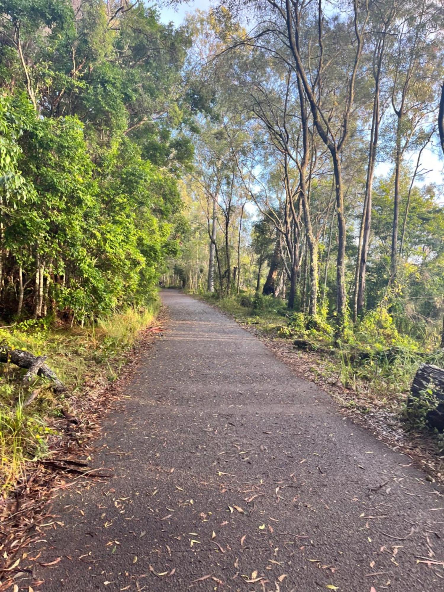 Serenity Retreat Noosa, Private Home With Solar Heated Pool * Noosaville