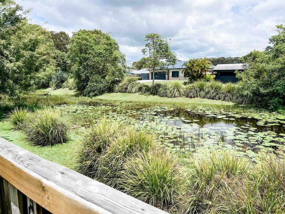 Bright And Spacious Noosa Pad With Pool Noosaville