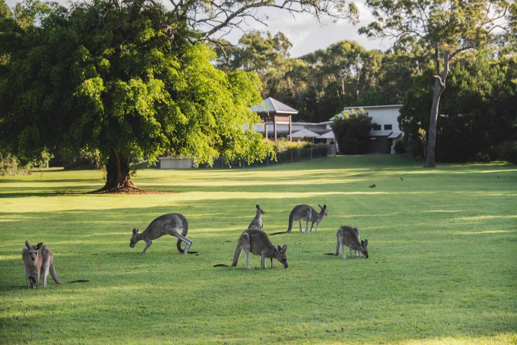 Senses Lodge Noosa North Shore