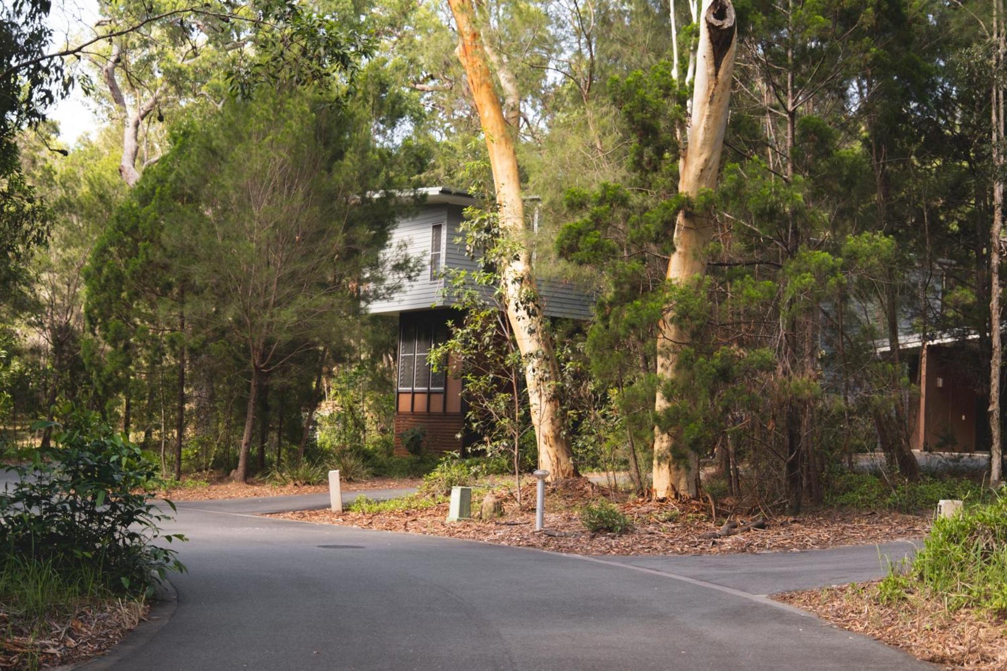 Senses * Noosa North Shore